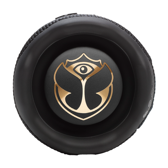 JBL Flip 7 Tomorrowland - Black - Portable waterproof and drop-proof speaker designed by JBL x Tomorrowland - Right