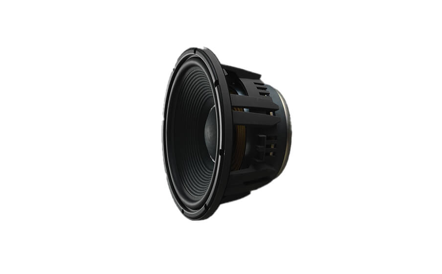 12-inch (300mm) pure-pulp cone woofer in bass-reflex design with dual front-firing tuned ports.